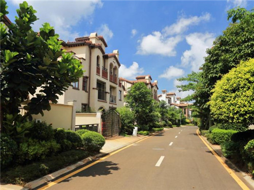 李功夫中华鸡排