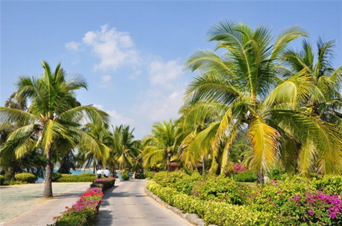 兄弟船日式料理