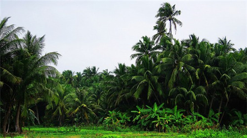 昌乐县针织帽加盟投资创业哪家项目比较火爆，昌乐县服装厂