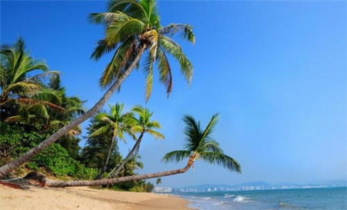 加盟大家旺汉堡投资需要多少成本