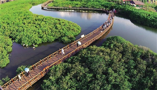 2025年夜光杯投稿时间（夜光杯什么时候up）