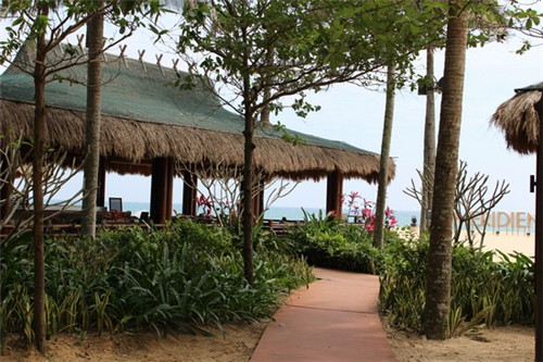 世界十大降血糖食物（超级降血糖食物）