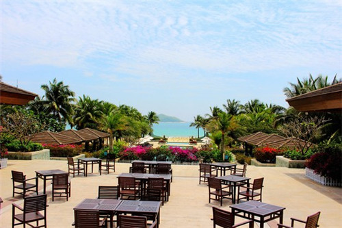 得意门生是什么意思（我的得意门生是什么意思）