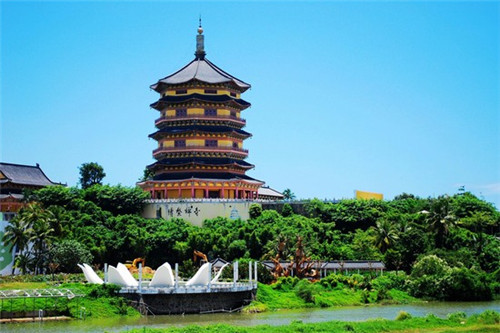 输尿管结石十大排名（输尿管结石最新进展）