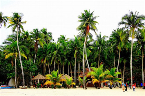 哈密市开店无纺布连锁店怎么加盟开店，开个无纺布厂子前景怎么样